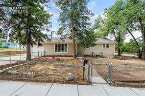 501 Birch