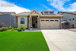 7523 Mountain Spruce