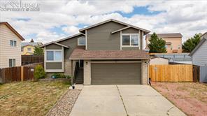 1249 Marsh Hawk