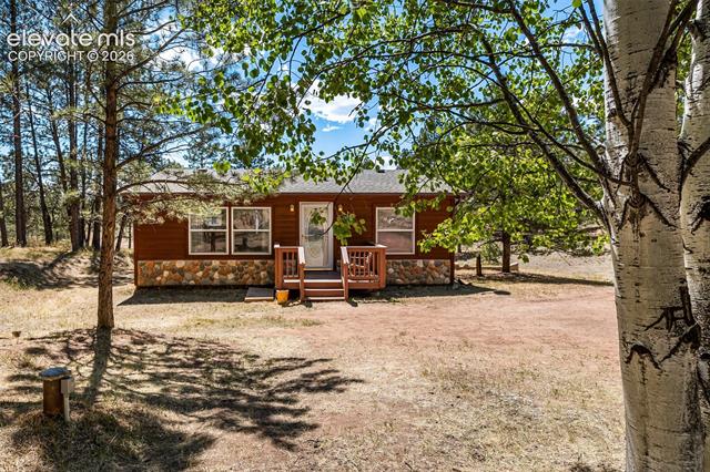 331 Rhyolite
