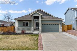 7296 Alpine Daisy