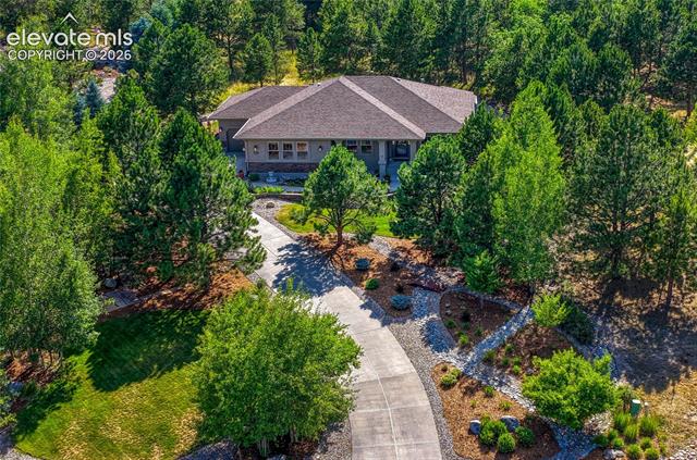 1103 Greenland Forest