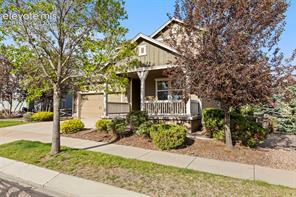 7891 Silver Birch