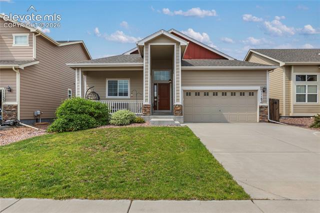 11165 Scenic Brush