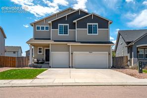 7664 Alpine Daisy