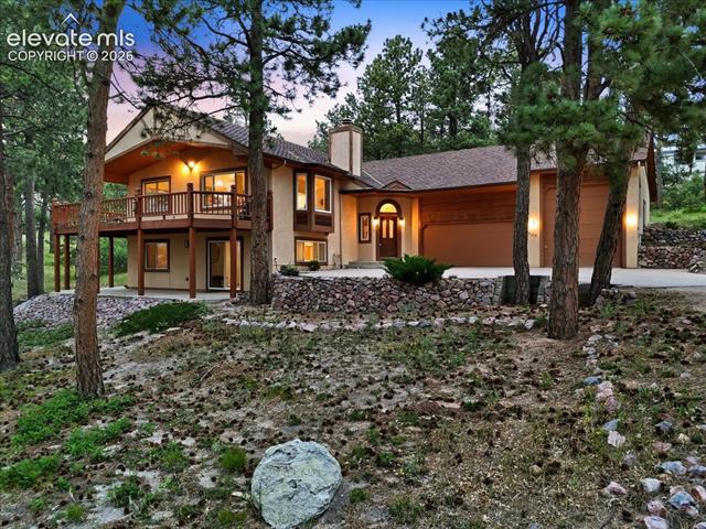 240 Scrub Oak