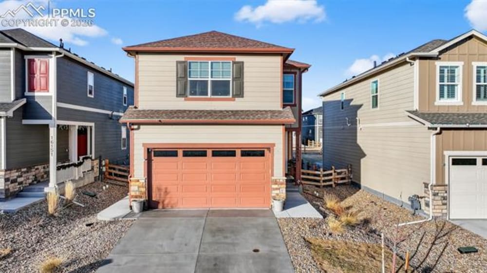 16143 Mountain Flax