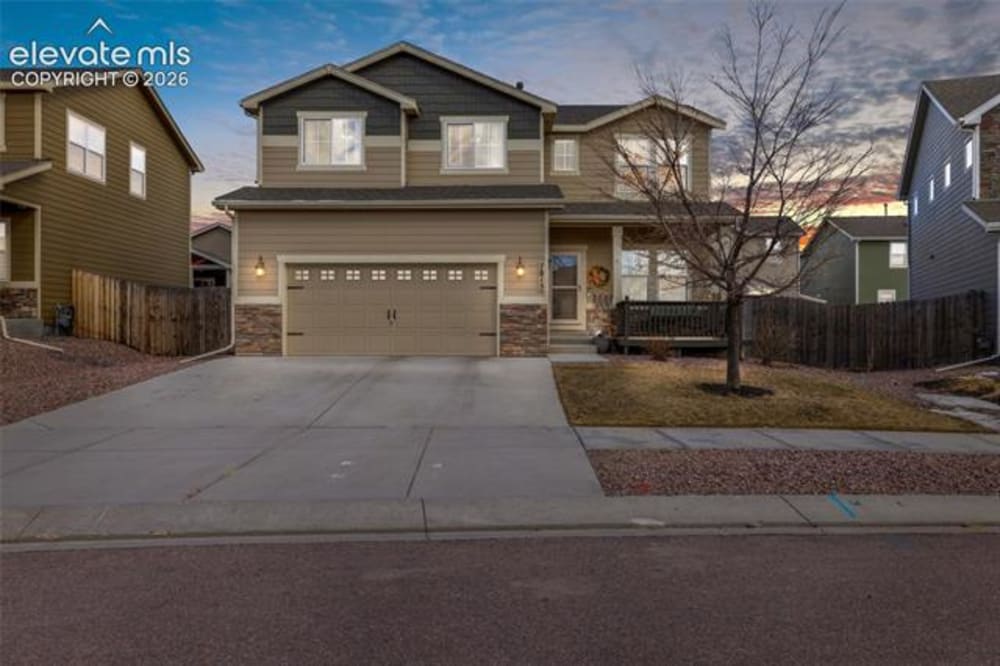 7815 Dry Willow
