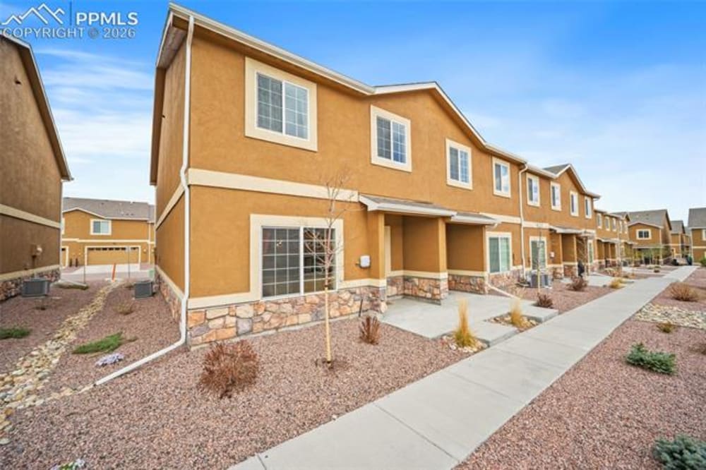 7617 Black Spruce