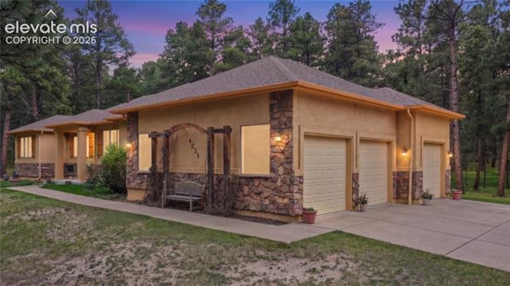 4235 Slash Pine