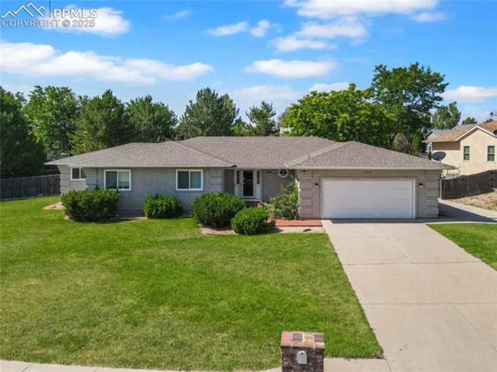 204 Bridle