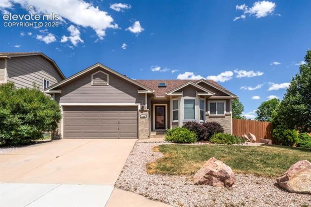 1168 Scarlet Oak