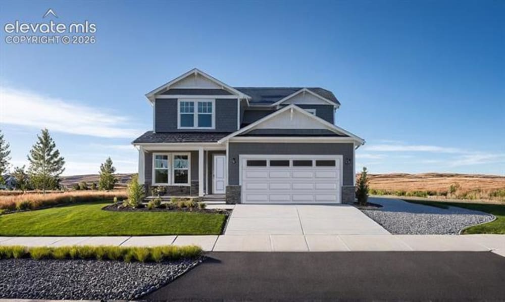 7915 Grey Bark