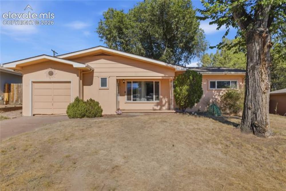 213 Jasper