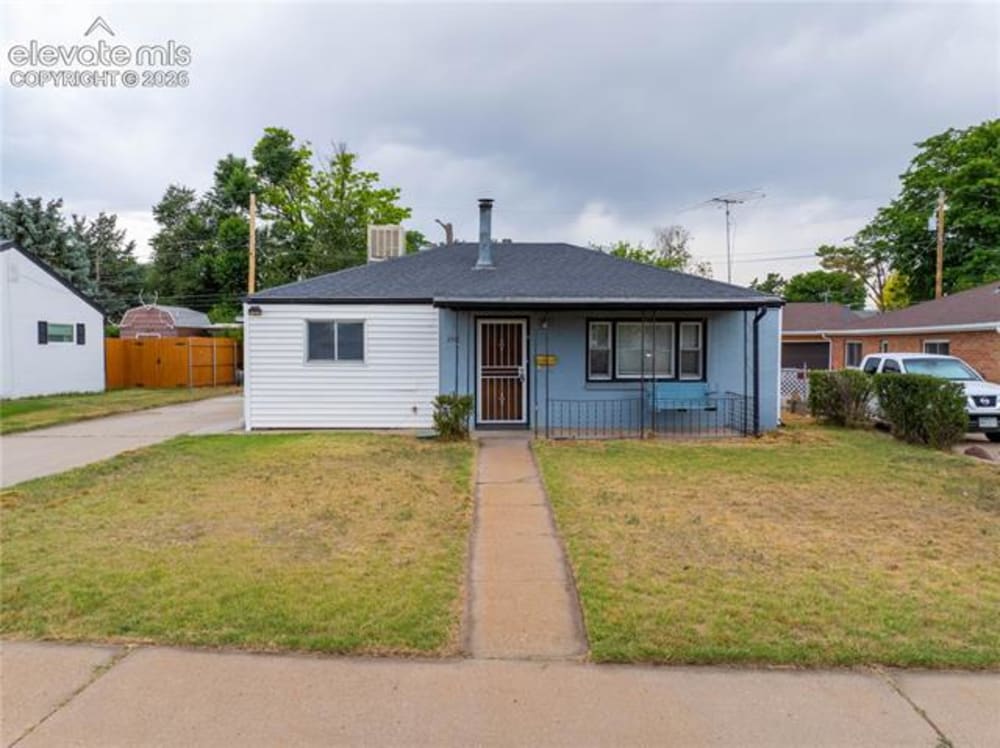 2541 Camellia