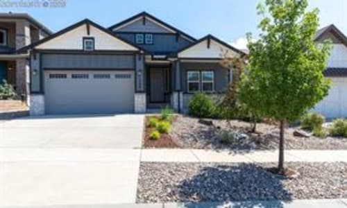 11590 Spectacular Bid