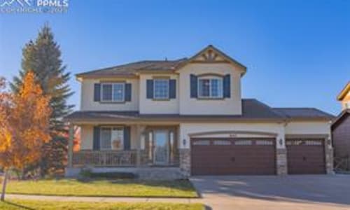 8143 Silver Birch