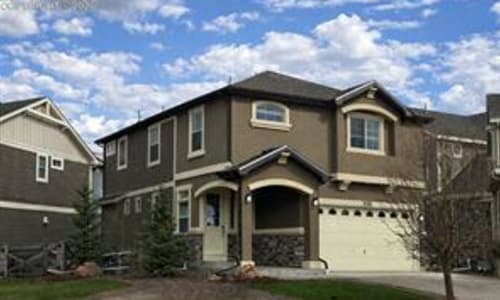 8361 Colorado Spruce