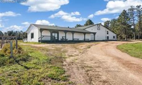 16685 Roller Coaster