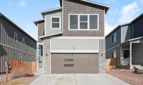 11466 Whistling Duck