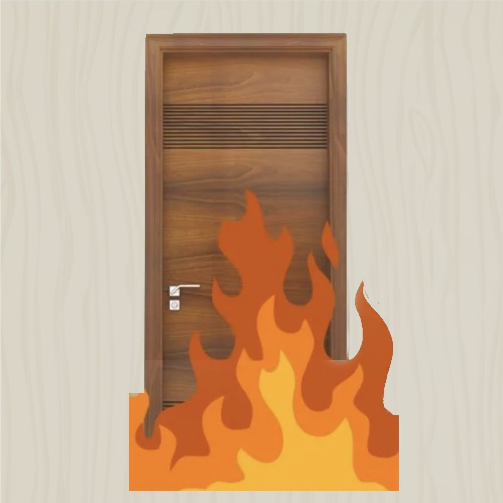 FRD DOOR view 5