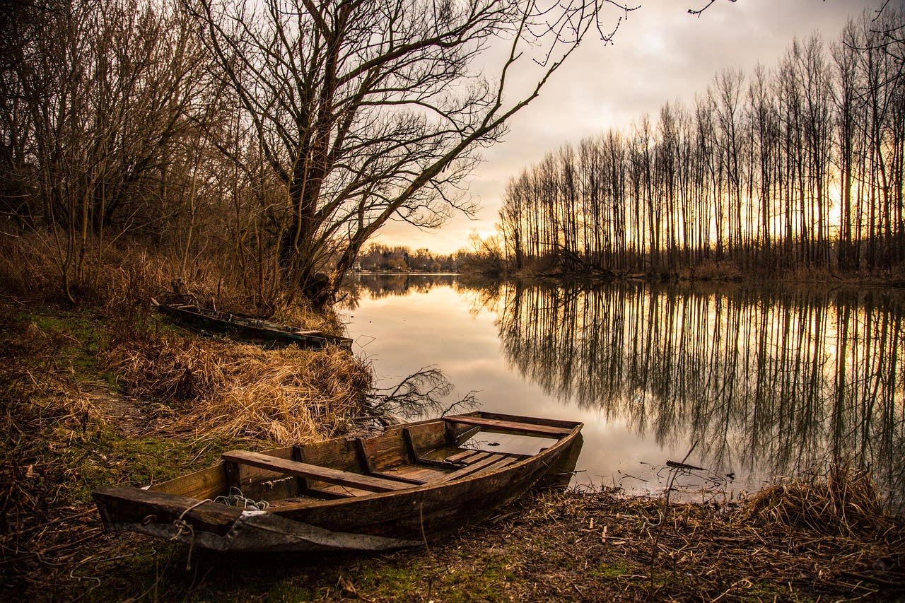 Wooden boat pulled up on the shore of a lake in fall