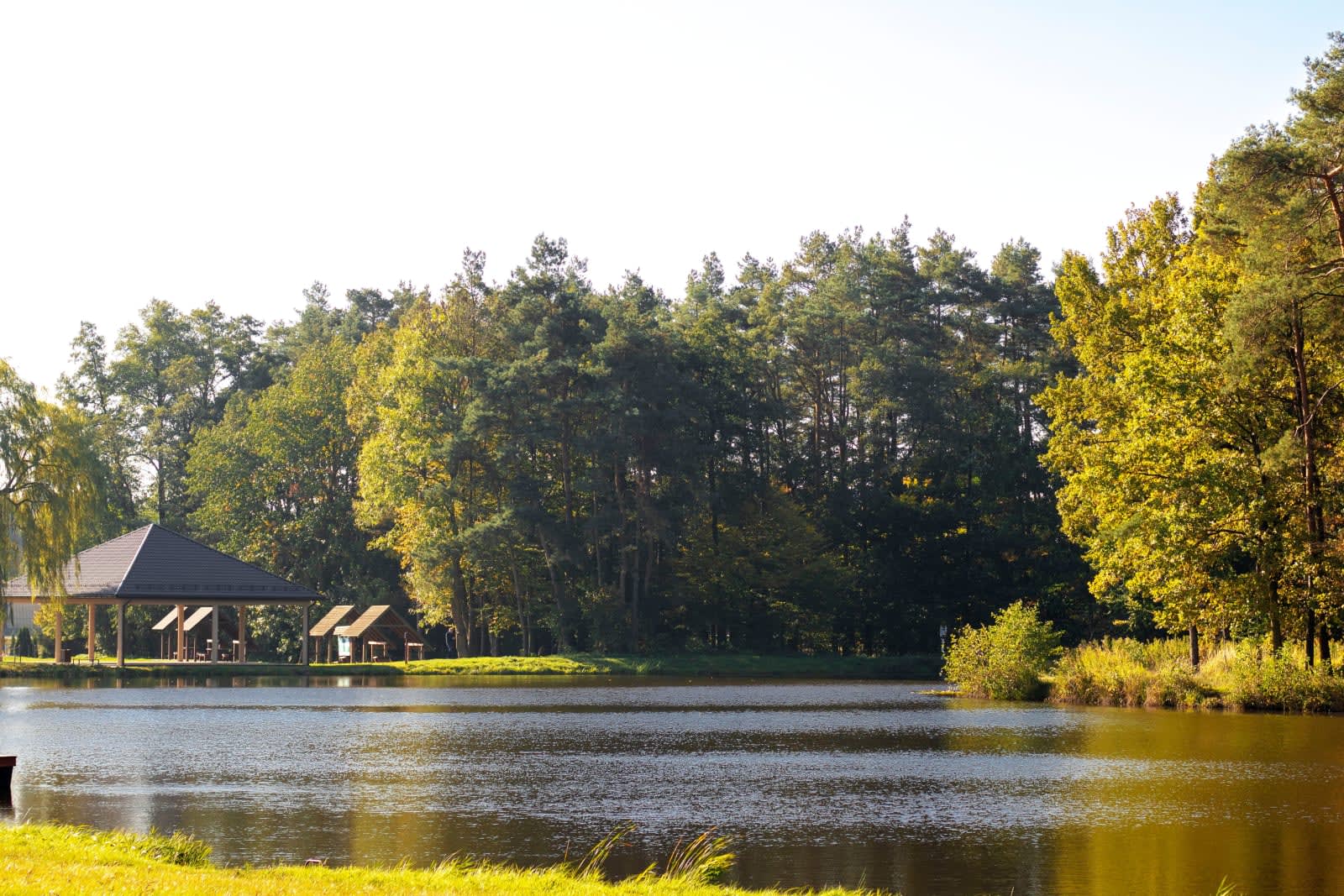 Serene lakeside resort cabins framed by green forest
