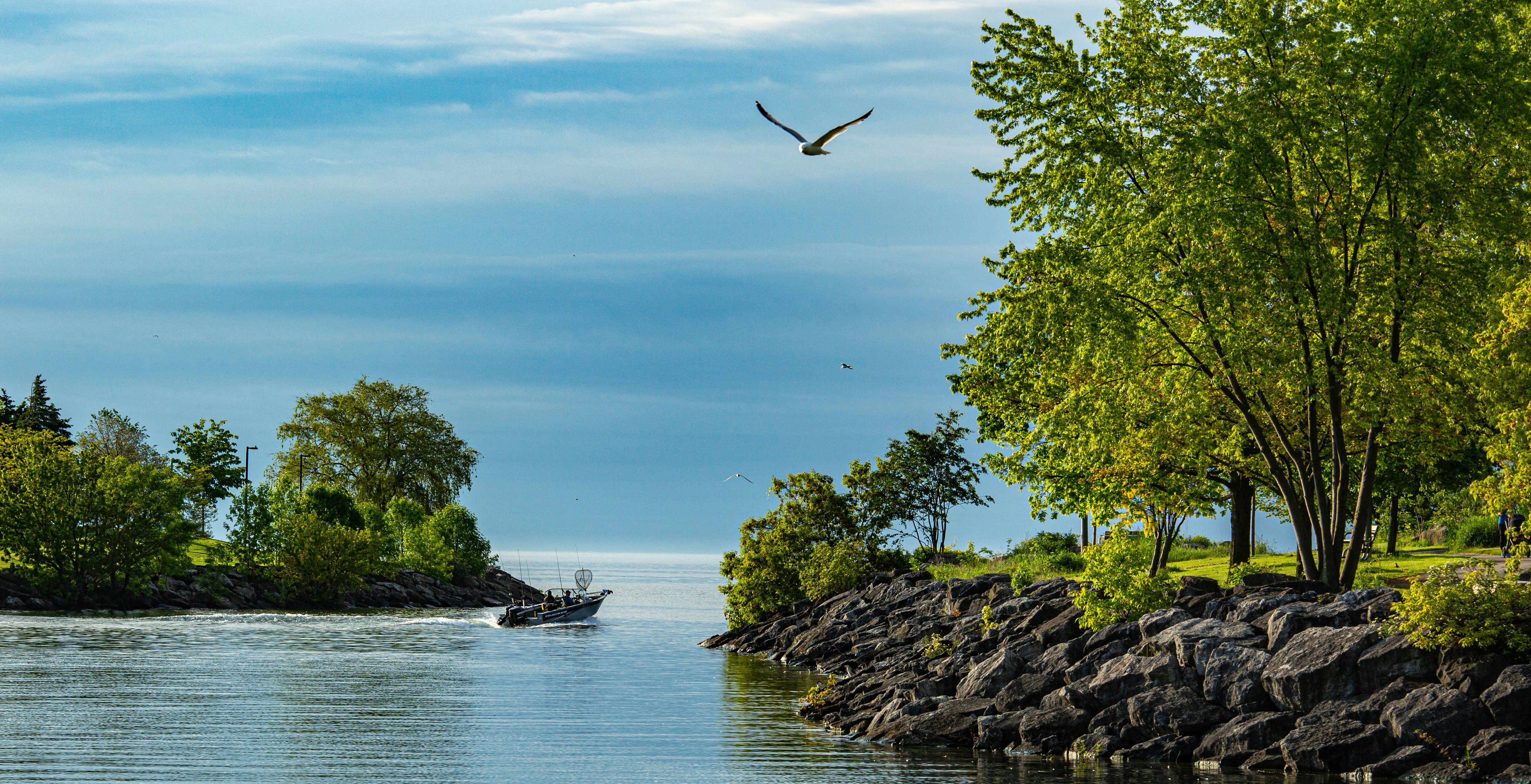 Lakefront fishing resort cabin in the Upper Midwest