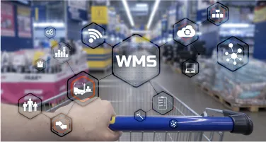 What is Warehouse and Stock...