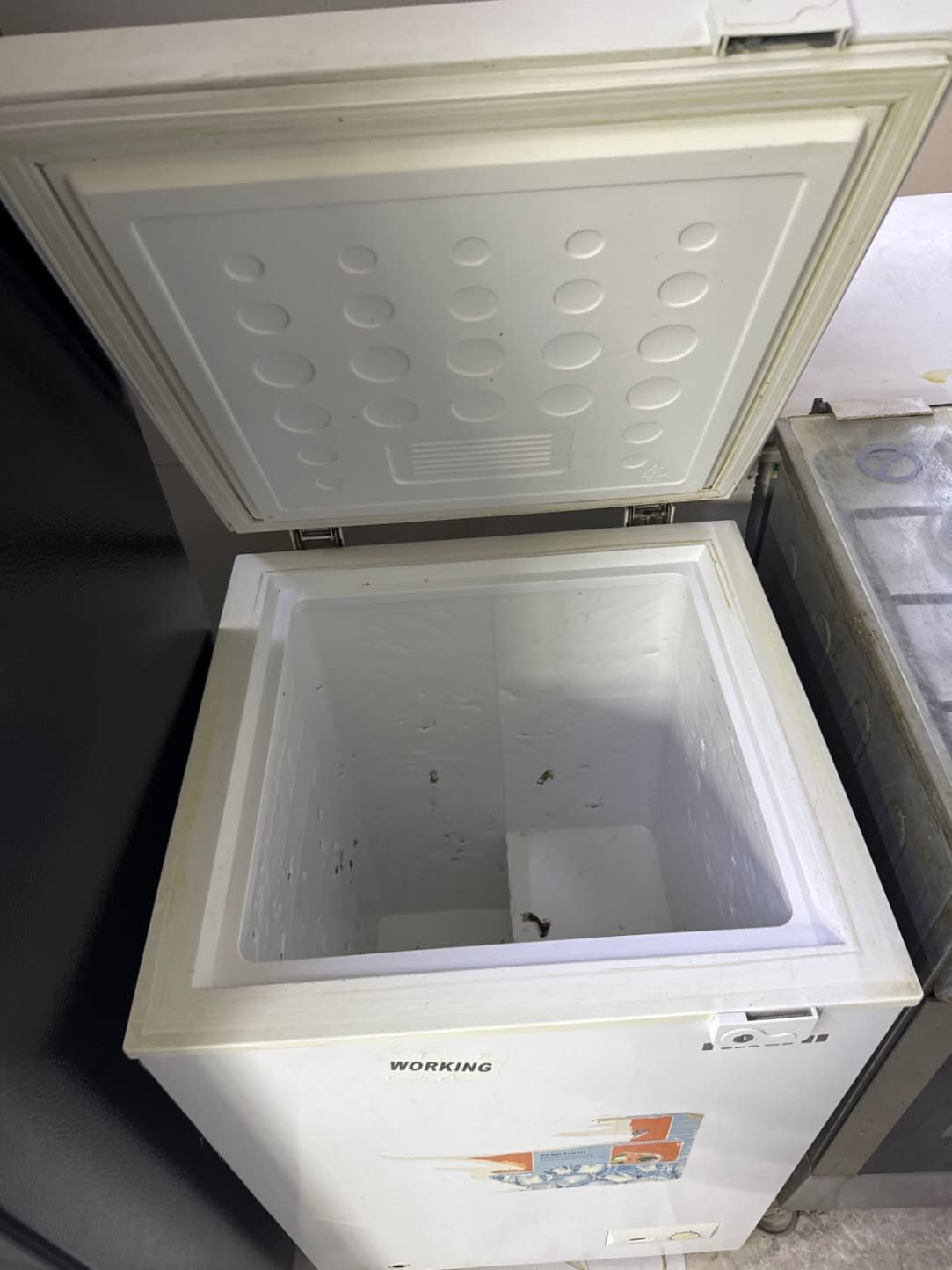 Chest Freezer 2
