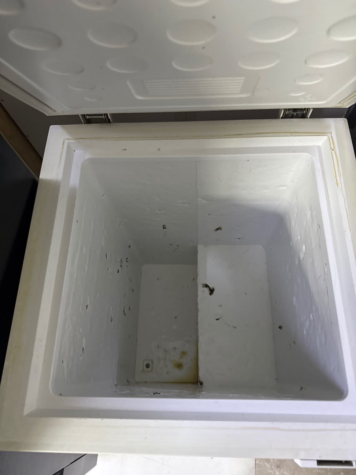 Chest Freezer 3