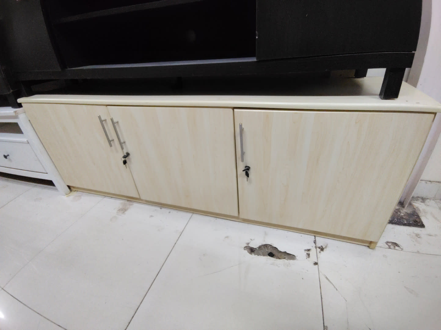 Low Storage Cabinet with Lockable Doors