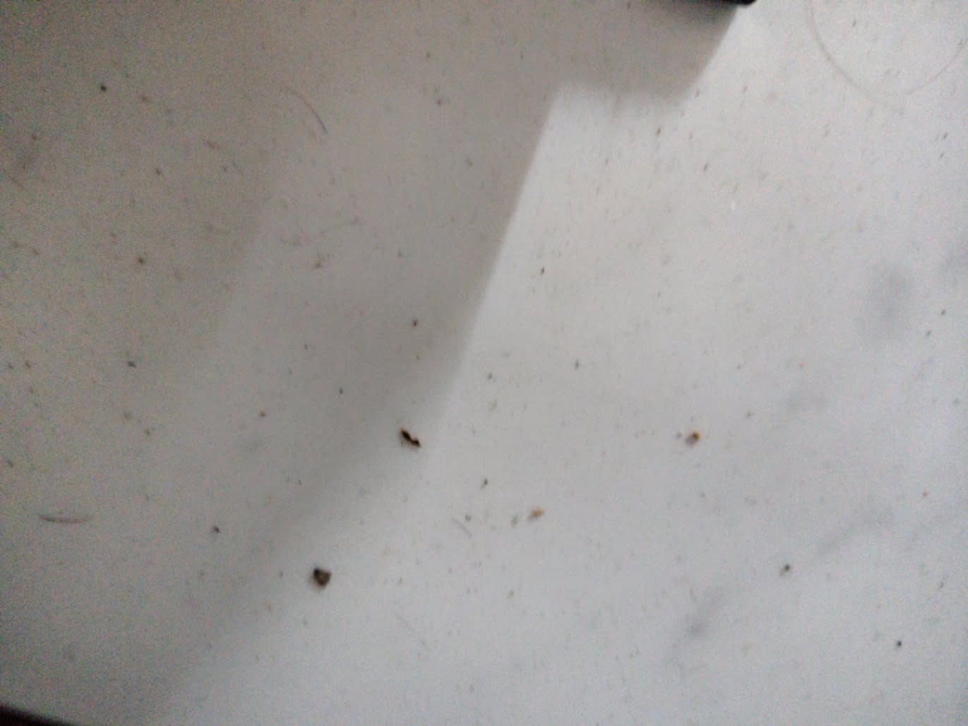 Interior shelf detail of used white TV stand showing surface condition at Bufaisal Ajman