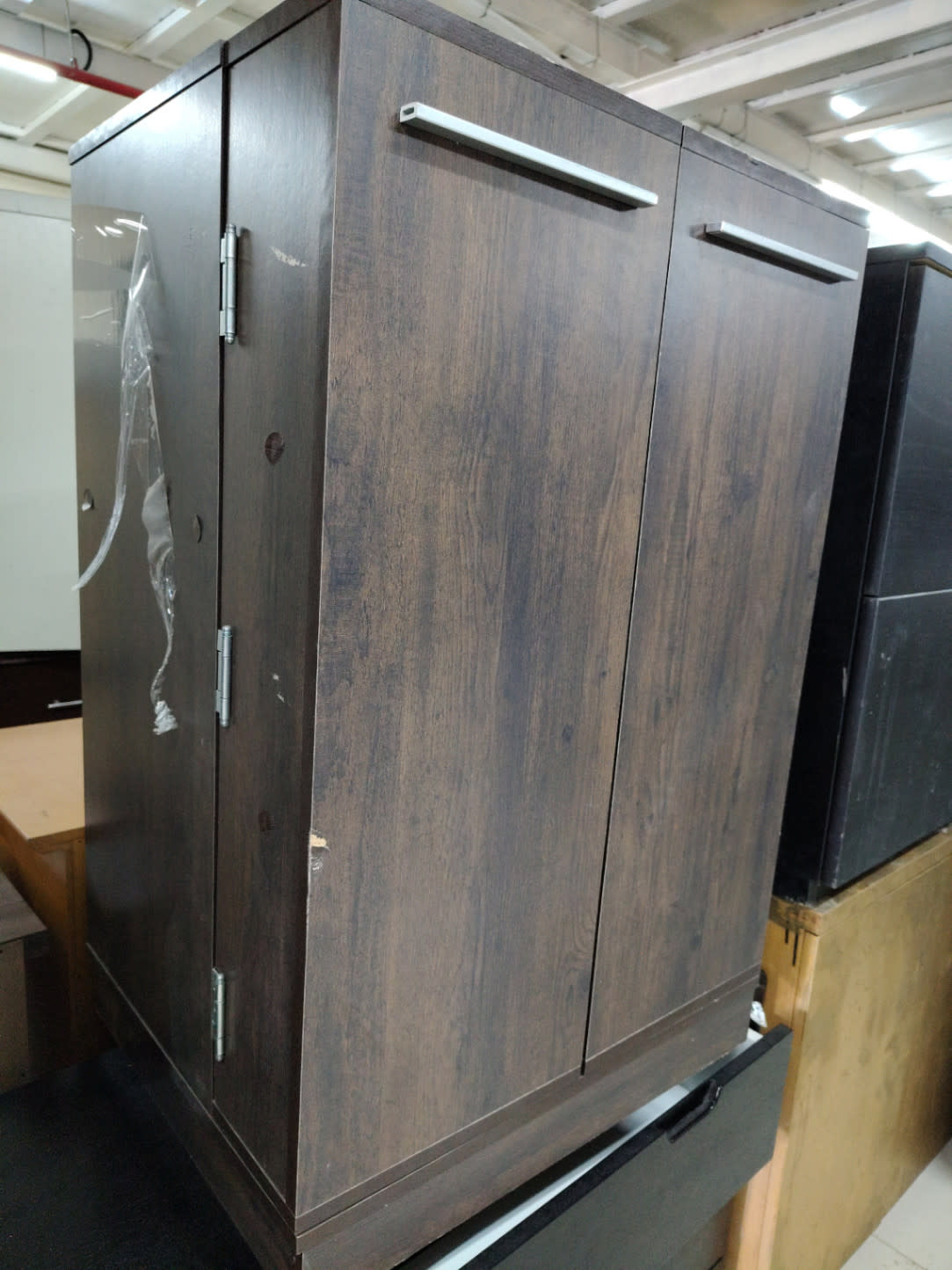Two-Door Shoe Cabinet with Multiple Shelves 2