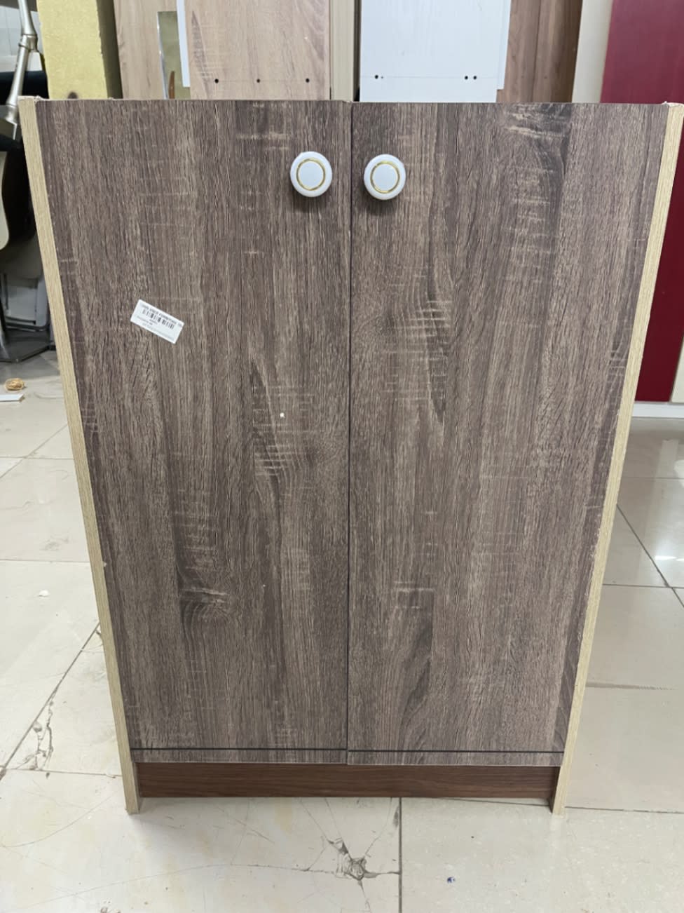 Two-Door Shoe Rack Cabinet