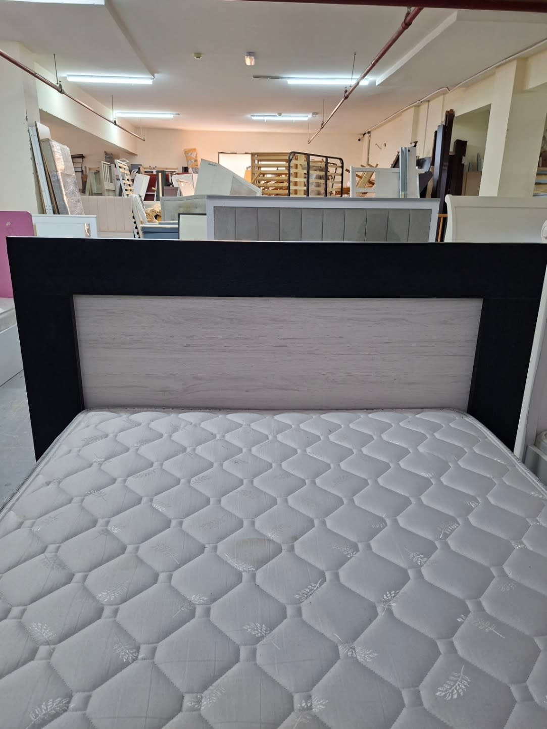 Close-up of headboard on used double bed frame, dark wenge frame with light oak panel insert, Bufaisal