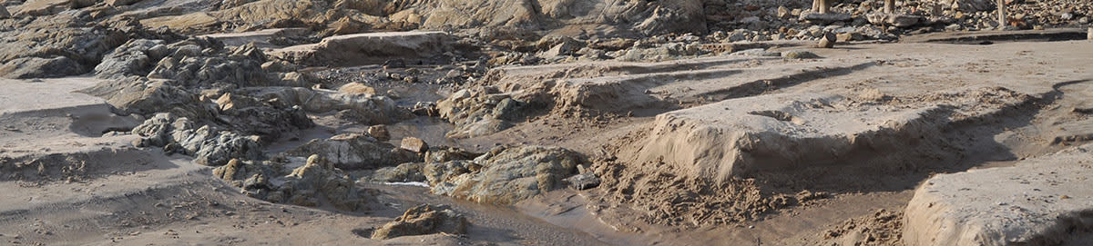 Contaminación fecal en el agua y arena de la costa Uruguaya