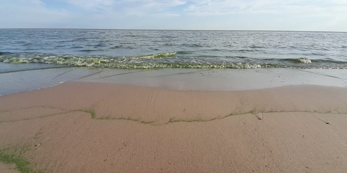 ¿POR QUÉ CONLLEVA UN GRAVE RIESGO SANITARIO TOMAR EL AGUA DE ARAZATI PARA POTABILIZAR?