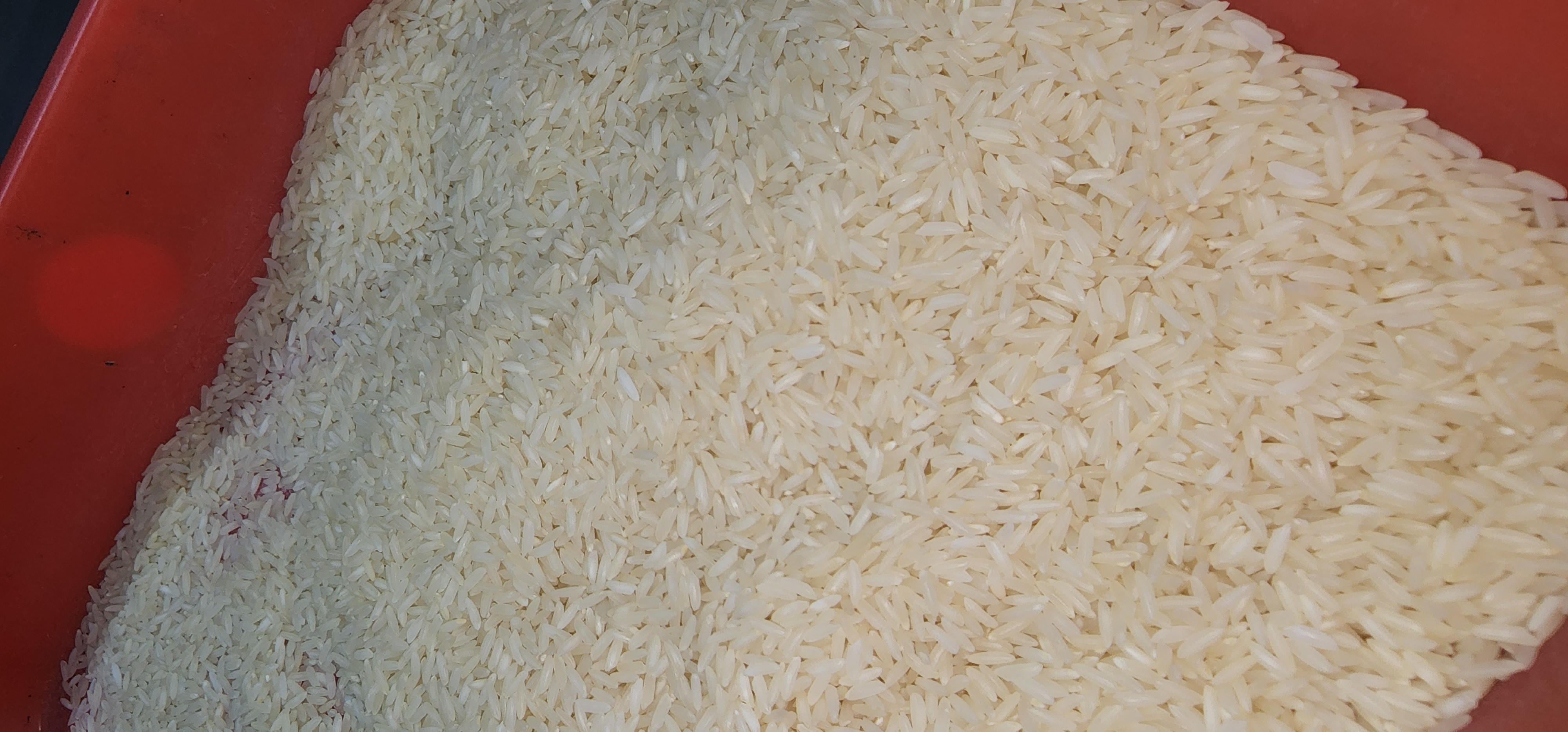 Jsr Steem Rice