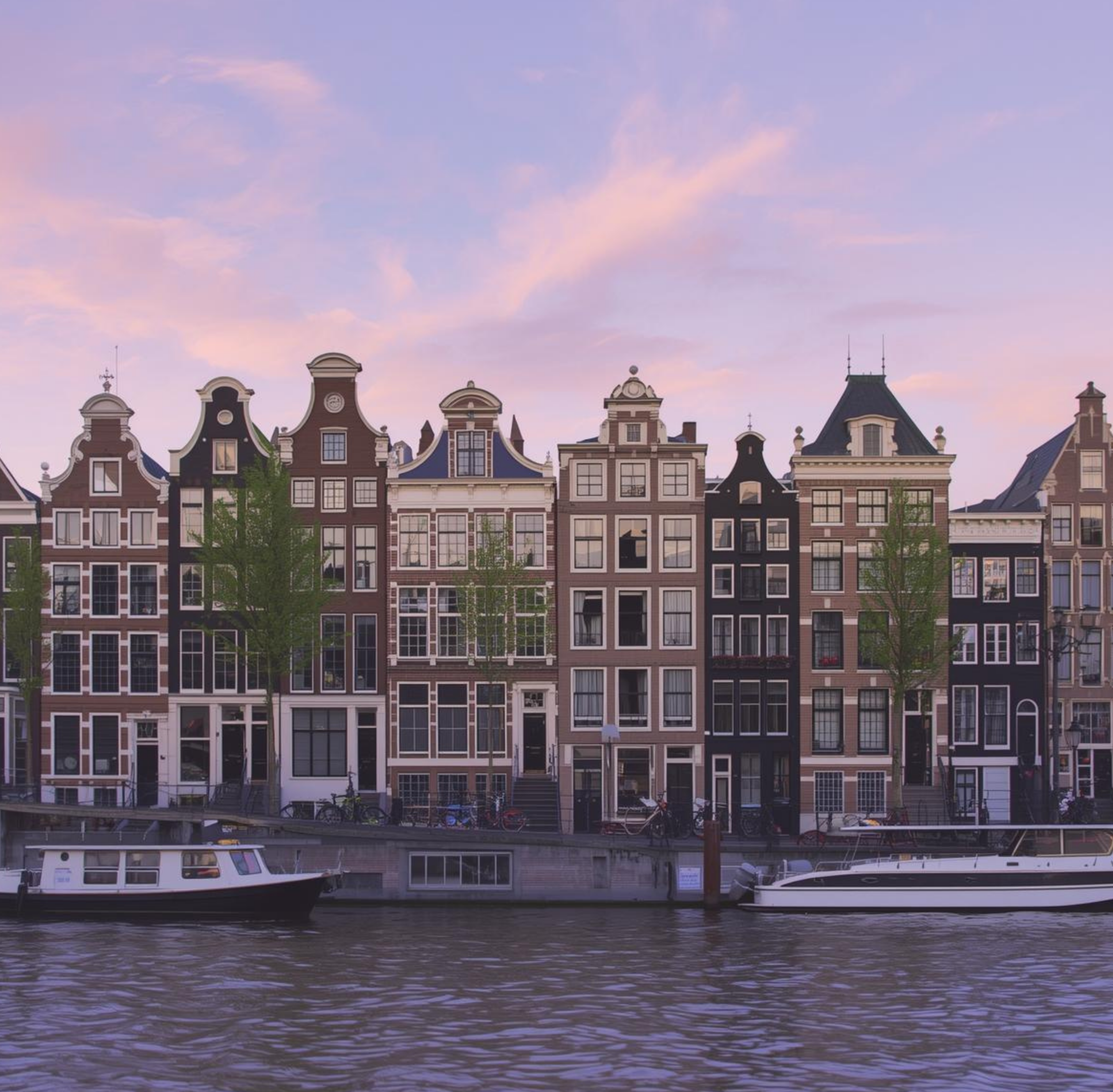 English and Dutch at work