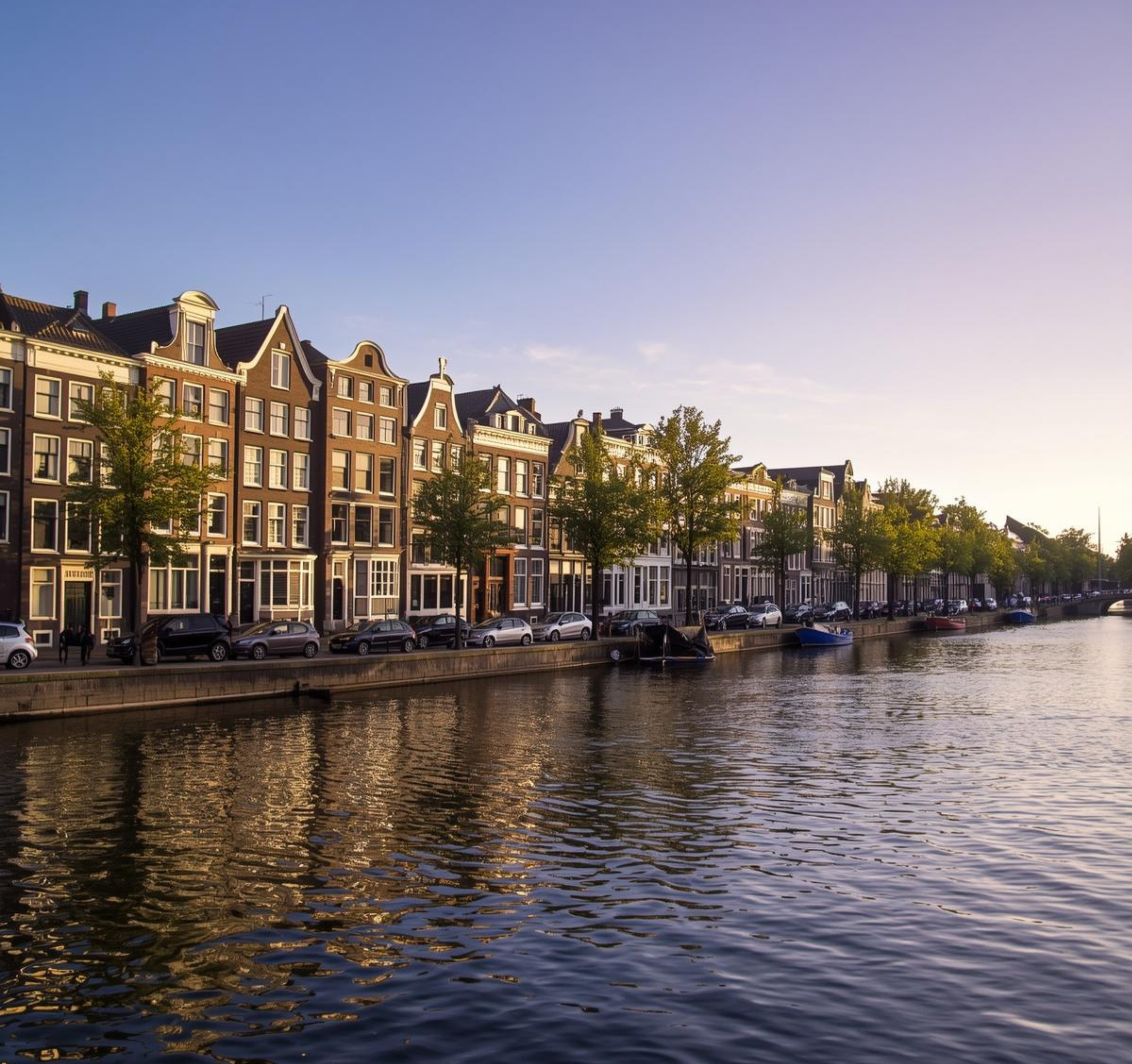 Dutch job search strategy