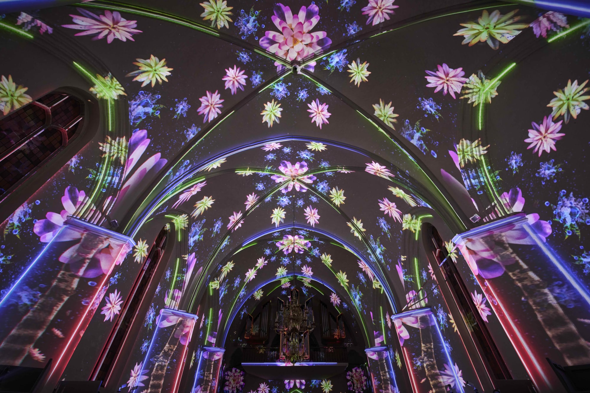 FLOW-Projektion mit Blütenmuster im Gewölbe der Kreuzkirche