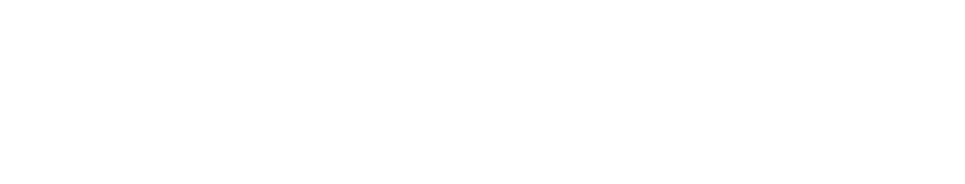 PROJEKTIL