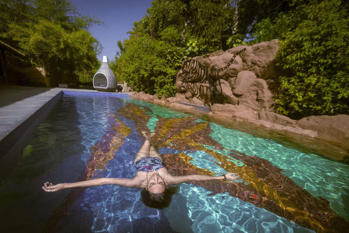Activities and experiences in Tadoba's pristine wilderness - Limban Resort