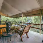 The Canopy Suite - deck view