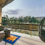 The Canopy - view from your deck