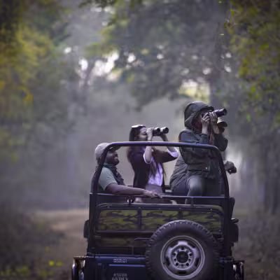 Safari jeep navigating through a misty forest road