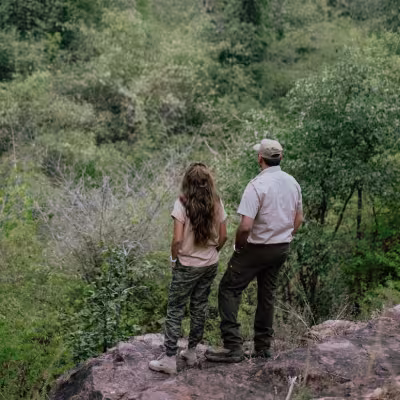 Guests observing wildlife from a rocky outcrop in Tadoba