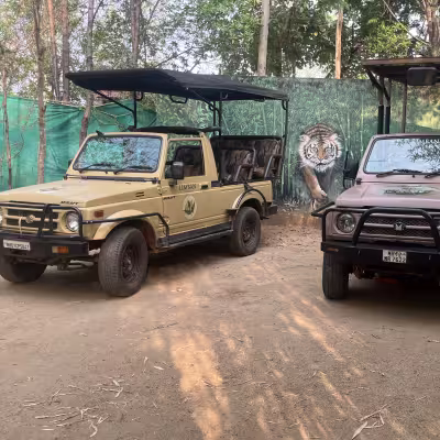 Some of our custom safari vehicles