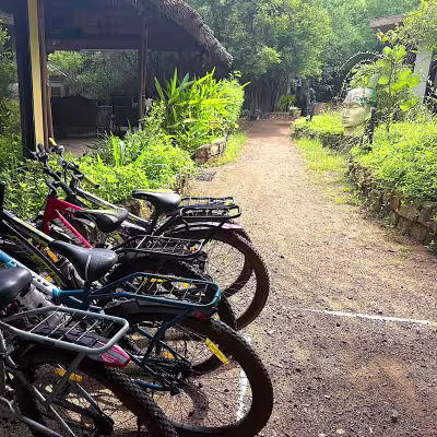 Our bicycles free to use for all our guests 